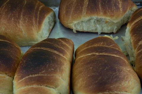 Homemade wheat bread Stock Photos