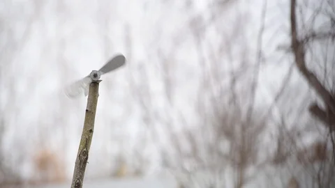 Homemade windmill for a village plot. Propeller on a piece of wood, rattle Video stock 126915839