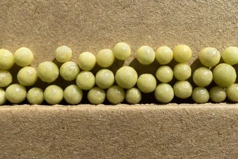 Homeopathic balls on the surface. Stock Photos