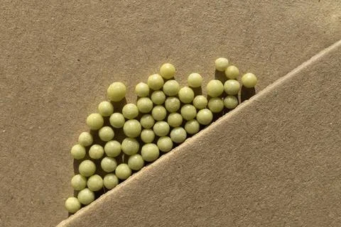 Homeopathic balls on the surface. Stock Photos