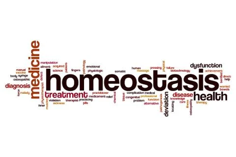 Homeostasis word cloud Stock Illustration