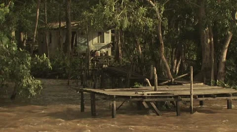Homes On The Amazon River 1 Video stock 19239726