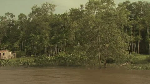Homes On The Amazon River 10 Video stock 19241750