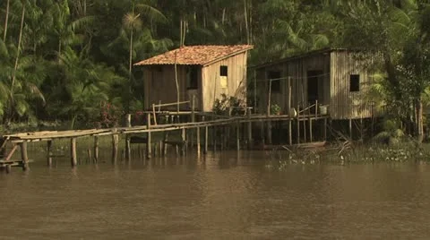 Homes On The Amazon River 11 Video stock 19241888