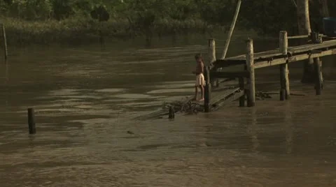 Homes On The Amazon River 12 Video stock 19241986