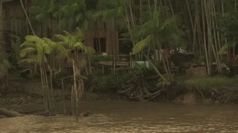 Homes On The Amazon River 13 Video stock 19242120