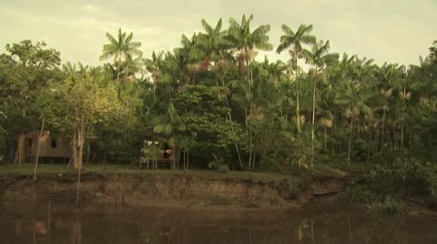 Homes On The Amazon River 14 Video stock 19242301