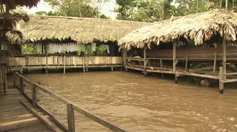 Homes On The Amazon River 5 Video stock 19241140