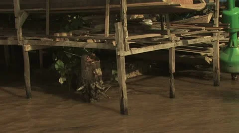 Homes On The Amazon River 7 스톡 동영상 19241344