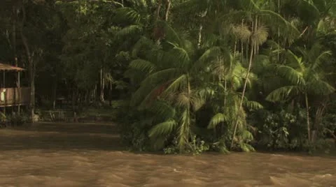 Homes On The Amazon River 8 Stockbeeldmateriaal 19241445