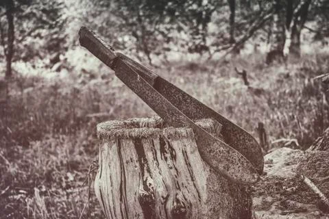 Homestead Stock Photos