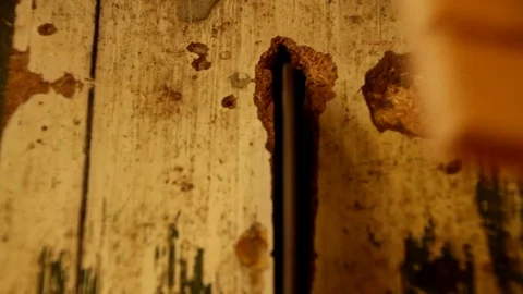 Homework with a circular saw 動画素材 84735692