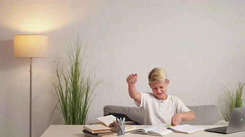 Homework excitement happy boy positive emotion Stock Footage 232720185