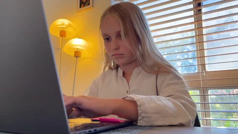 Homework on the laptop Stock Footage 302061176