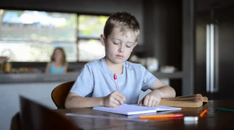 Homework school boy education Stock Footage 53088533
