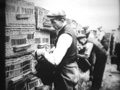 Homing pigeons are released in Selby, England, in 1933. Stock Footage