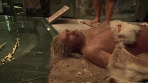 Hominid statue lying ill sick Neanderthal science museum CosmoCaixa Stock Footage 327217297