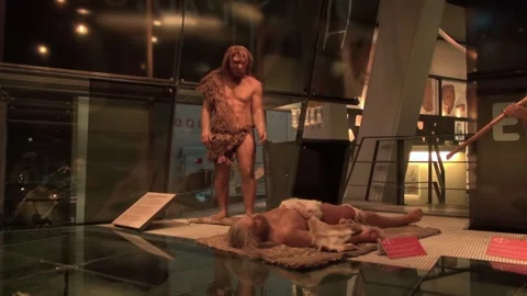 Hominids statues standing lying ill sick Neanderthal science museum Stock Footage 327217299