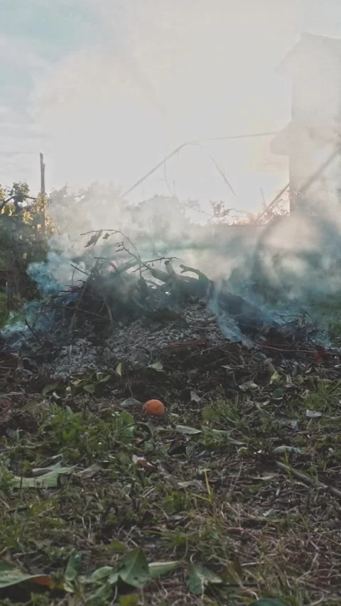 Homo coming out of the bonfire Stock Footage 276861750