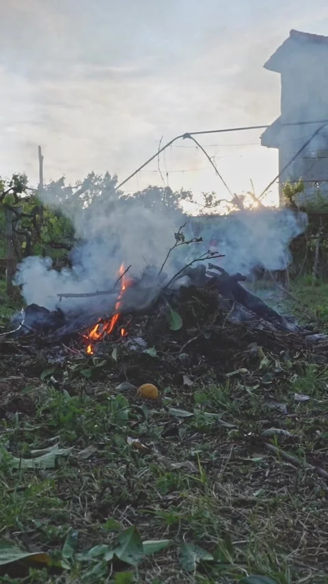 Homo coming out of the bonfire Stock Footage 276861798
