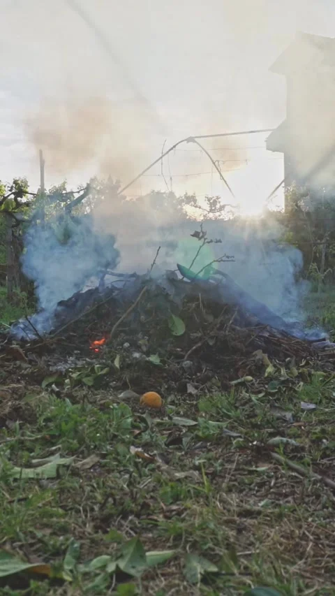 Homo coming out of the bonfire Stock Footage 276863221