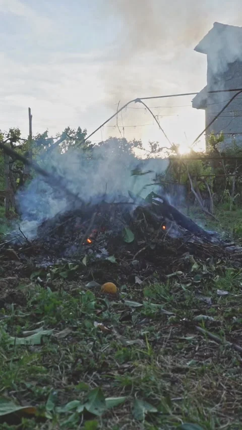 Homo coming out of the bonfire Stock Footage 276863233