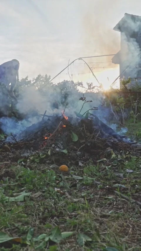 Homo coming out of the bonfire Stock Footage 276863293