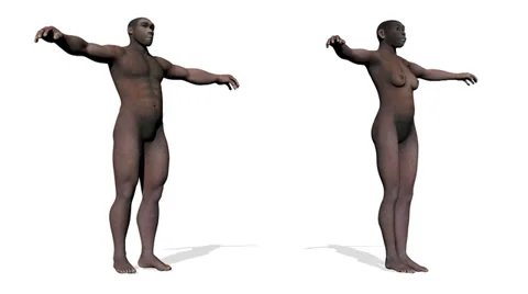 Homo erectus - 3D render Stock Footage 33797539