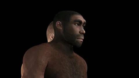 homo erectus animation | Stock Video | Pond5