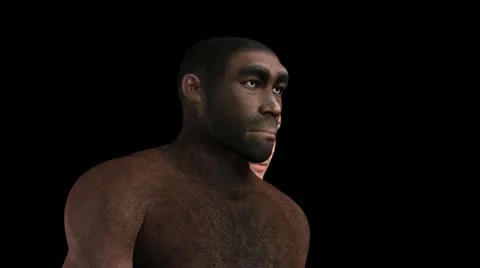 Homo erectus animation Stock Footage 21366775