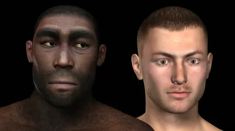 Homo erectus animation Stock-Footage 21366810
