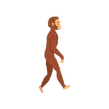 Homo Erectus, Biology Human Evolution Stage, Evolutionary Process of Woman Illustrazione stock