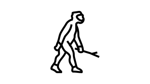 Homo erectus human evolution line icon animation Stock Footage 326134026