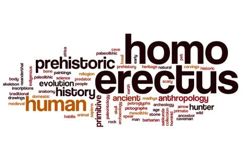 Homo erectus word cloud 스톡 일러스트