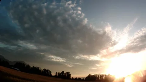 Homomutatus Sunset Stock Footage 145043538