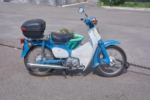 Honda 50 std Fotos Stock