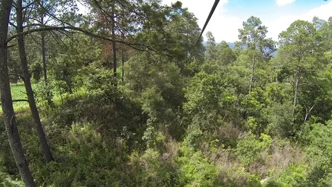 Honduras, Copan, Zip lining zip line canopy tour Stock Footage 125302795