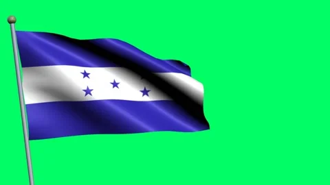 Honduras Flag on Green Background Vidéo 346828141