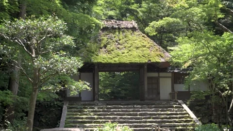 Honen-in 02 Stock Footage 345540630