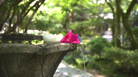 Honen-in 1 库存影片 345540867