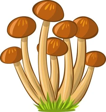 Honey agaric vector image without background Stock Illustration