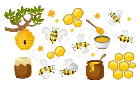 Honey and bee vector set Stock Illustration