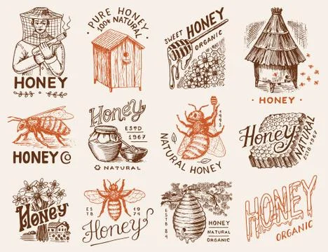 Honey and bees set. Beekeeper man and Honeycombs and hive and apiary. Vintage Stock Illustration