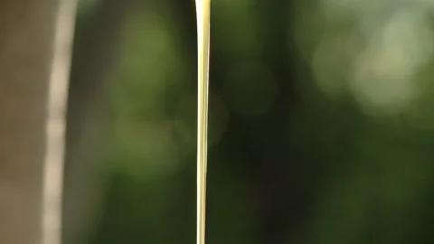 Honey background. A stream of honey flows into a glass jar, close-up. Stock Footage 93945556
