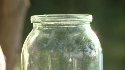 Honey background. A stream of honey flows into a glass jar, close-up. Stock-Footage 93945791