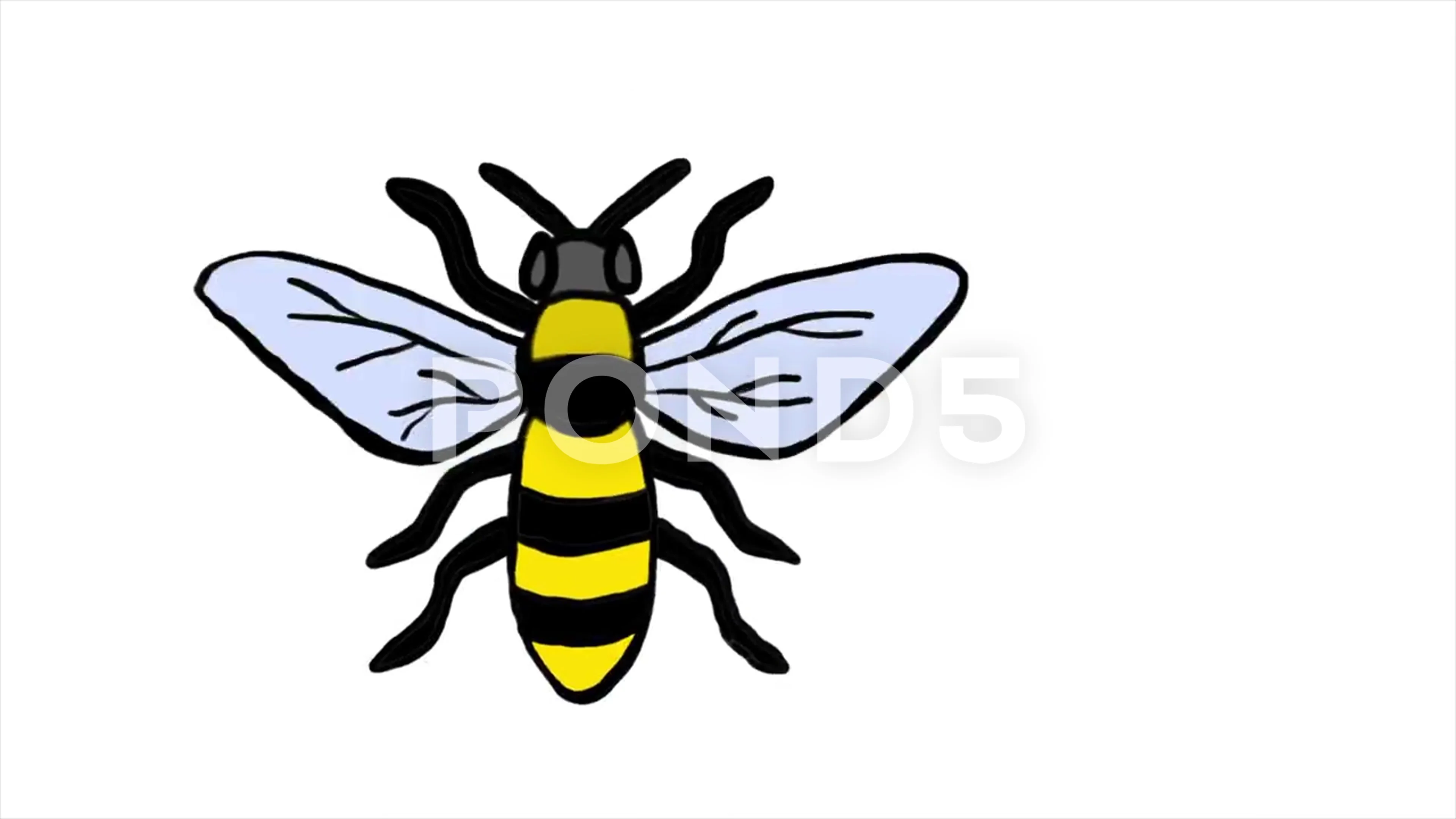 Honey Bee Doodle Animation Loop Over Whi... | Stock Video | Pond5