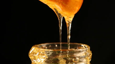 Honey Bee Stock Footage 34666097