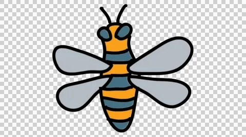 Honey BEE hand drawn animation line sketch with transparent background Stock Footage 44210312