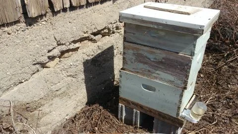 Honey Bee Hive Stock Photos
