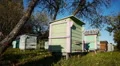 Honey bee hives in autumnal apple garden HD Footage